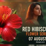 ചെമ്പനീർ പൂവ് Serial 07 August 2025 Episode