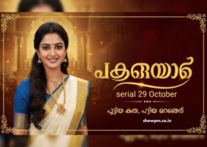 പത്തരമാറ്റ് serial 29 October