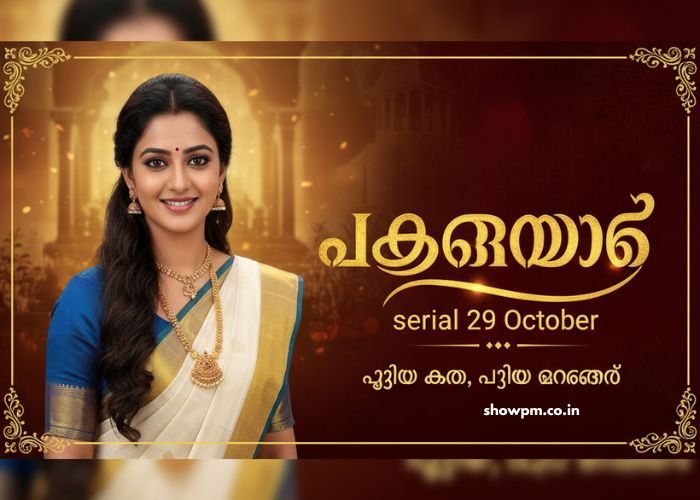 പത്തരമാറ്റ് serial 29 October